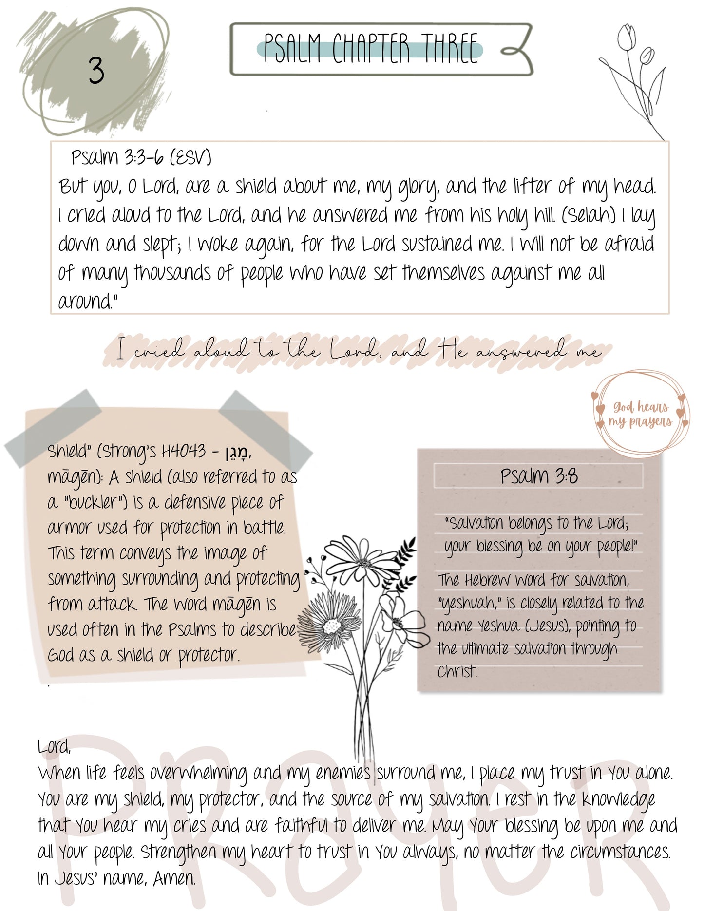 Psalms Bible Study (Chapters 1-12) New Update